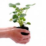 What is lead nurturing?